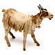 Nativity Scene figurine Standing goat, Angela Tripi 18 cm s3