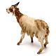 Nativity Scene figurine Standing goat, Angela Tripi 18 cm s4