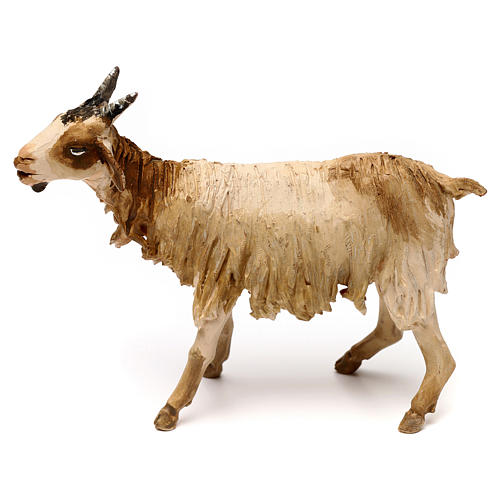 Goat, 18 cm Angela Tripi, in terracotta 1