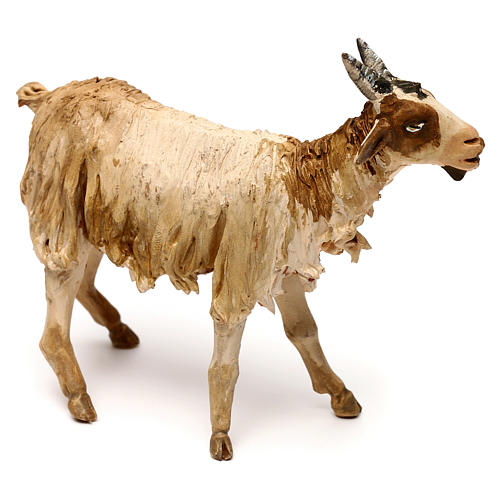 Goat, 18 cm Angela Tripi, in terracotta 3