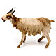 Goat, 18 cm Angela Tripi, in terracotta s1