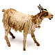 Goat, 18 cm Angela Tripi, in terracotta s3
