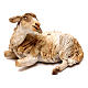 Sheep, 13 cm Angela Tripi, in terracotta s1