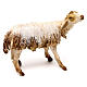 Mouton debout 18 cm Angela Tripi terre cuite s1