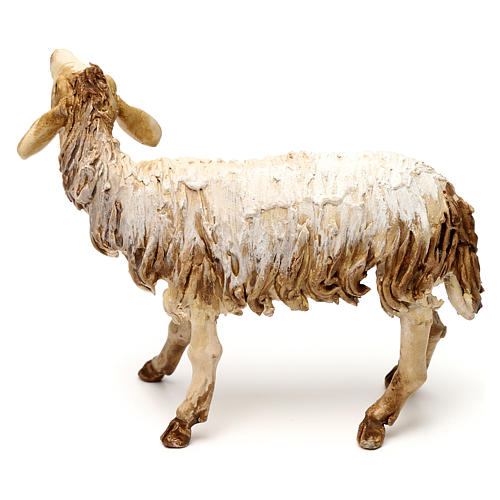 Sheep standing, 18 cm A. Tripi, in terracotta 3