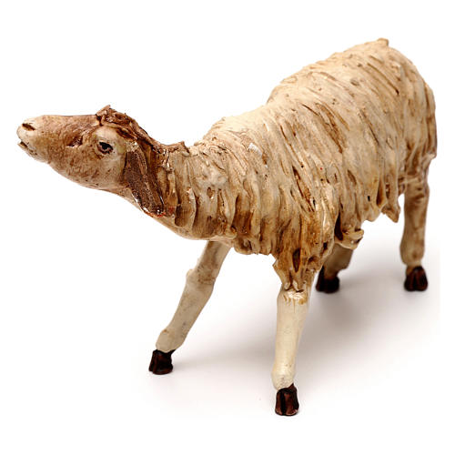 Hairy sheep, 18 cm nativity Angela Tripi, in terracotta 2