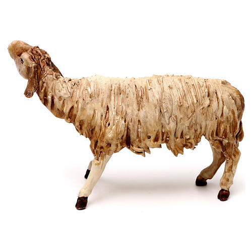 Hairy sheep, 18 cm nativity Angela Tripi, in terracotta 3