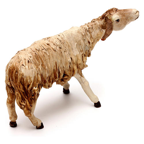 Hairy sheep, 18 cm nativity Angela Tripi, in terracotta 4