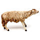 Hairy sheep, 18 cm nativity Angela Tripi, in terracotta s1