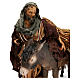Shepherd with donkey, 18 cm nativity Tripi s2