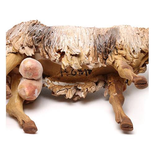 Goat in terracotta for 18 cm Nativity scene, Angela Tripi 4