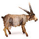 Goat in terracotta for 18 cm Nativity scene, Angela Tripi s1