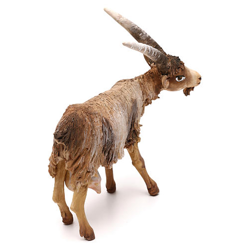 Baby goat figurine 18 cm, in terracotta, nativity Tripi 3