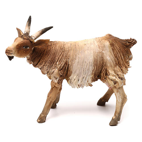 Goat for 18 cm Nativity scene, Angela Tripi 1