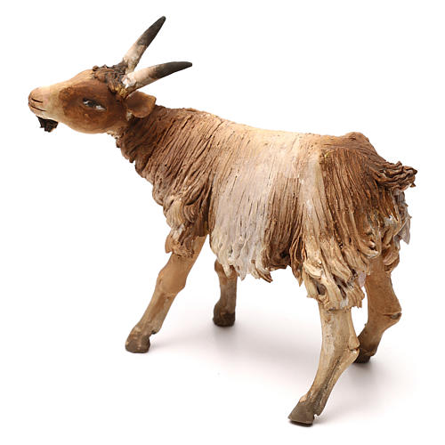 Goat for 18 cm Nativity scene, Angela Tripi 2
