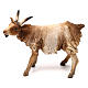 Goat 18 cm, in terracotta, Angela Tripi s1