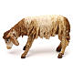 Pecora che bruca terracotta 13 cm presepe Tripi s1