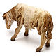 Sheep browsing 13 cm, nativity Tripi s3