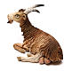 Cabra deitada em terracota artesanal para Presépio Angela Tripi com figuras de altura média 13 cm s3