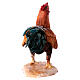 Rooster for 30 cm Nativity scene, Angela Tripi s5