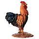 Rooster for 30 cm Nativity scene, Angela Tripi s1
