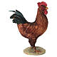 Gallo per presepe 30 cm Angela Tripi s4