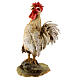 Gallo que canta belén 30 cm Tripi s2