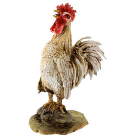 Coq qui chante pour crèche 30 cm Angela Tripi