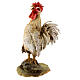 Rooster crowing 30 cm nativity, Tripi s2