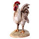 Rooster crowing 30 cm nativity, Tripi s2
