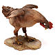 Hen looking down 30 cm nativity, Tripi s3