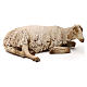 Ruhendes Schaf, für 30 cm Krippe von Angela Tripi, Terrakotta s1