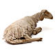 Ruhendes Schaf, für 30 cm Krippe von Angela Tripi, Terrakotta s3