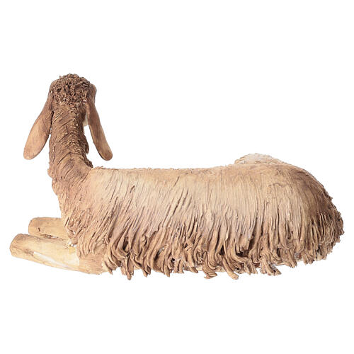 Sitting sheep for 30 cm Nativity scene, Angela Tripi 5