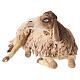 Mouton assis pour crèche 30 cm Angela Tripi s2