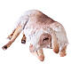 Mouton assis pour crèche 30 cm Angela Tripi s2