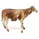 Mouton marron pour crèche 30 cm Angela Tripi s1