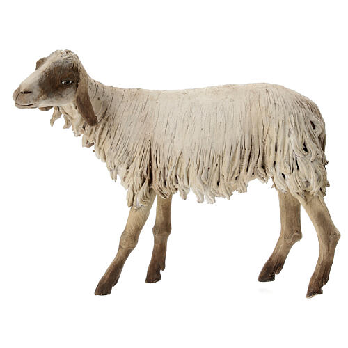 Stehendes Schaf, für 30 cm Krippe von Angela Tripi, Terrakotta 1