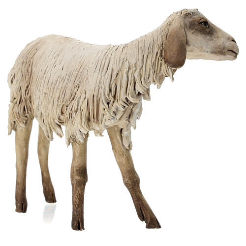 Stehendes Schaf, für 30 cm Krippe von Angela Tripi, Terrakotta 5