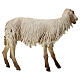 Stehendes Schaf, für 30 cm Krippe von Angela Tripi, Terrakotta s4