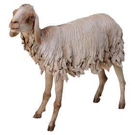 Standing sheep for 30 cm Nativity scene, Angela Tripi