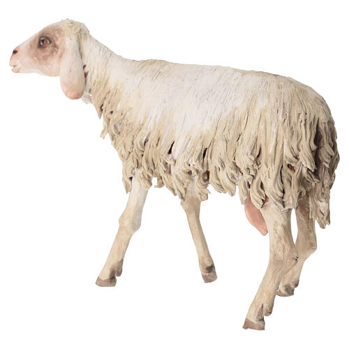 Standing sheep for 30 cm Nativity scene, Angela Tripi 4