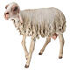 Standing sheep for 30 cm Nativity scene, Angela Tripi s2