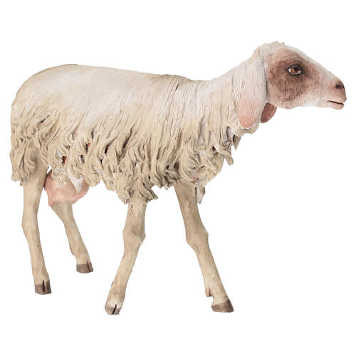 Ovejita de pie estatua belén 30 cm Tripi 3