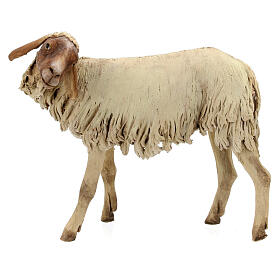Standing sheep statue 30 cm, nativity Tripi
