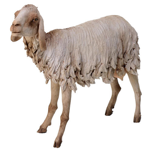 Standing sheep statue 30 cm, nativity Tripi 2