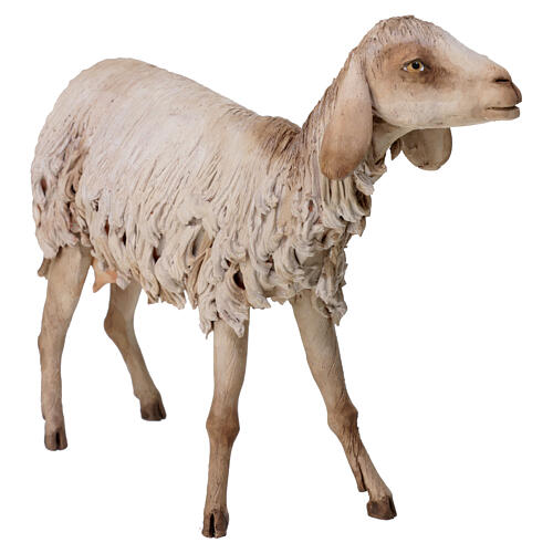 Standing sheep statue 30 cm, nativity Tripi 3