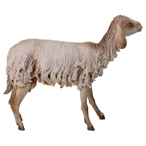 Standing sheep statue 30 cm, nativity Tripi 4