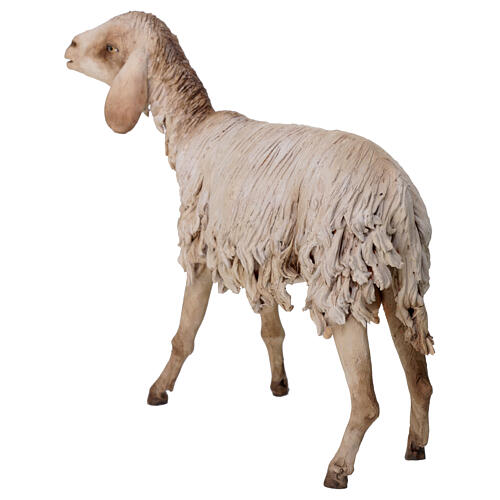 Standing sheep statue 30 cm, nativity Tripi 5