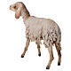 Standing sheep statue 30 cm, nativity Tripi s5